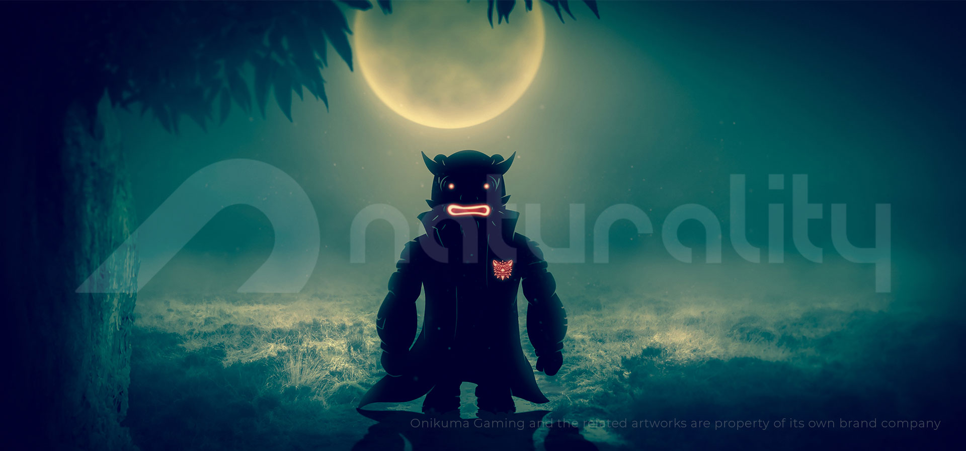 Directus Image