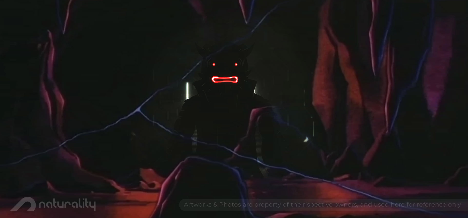 Directus Image