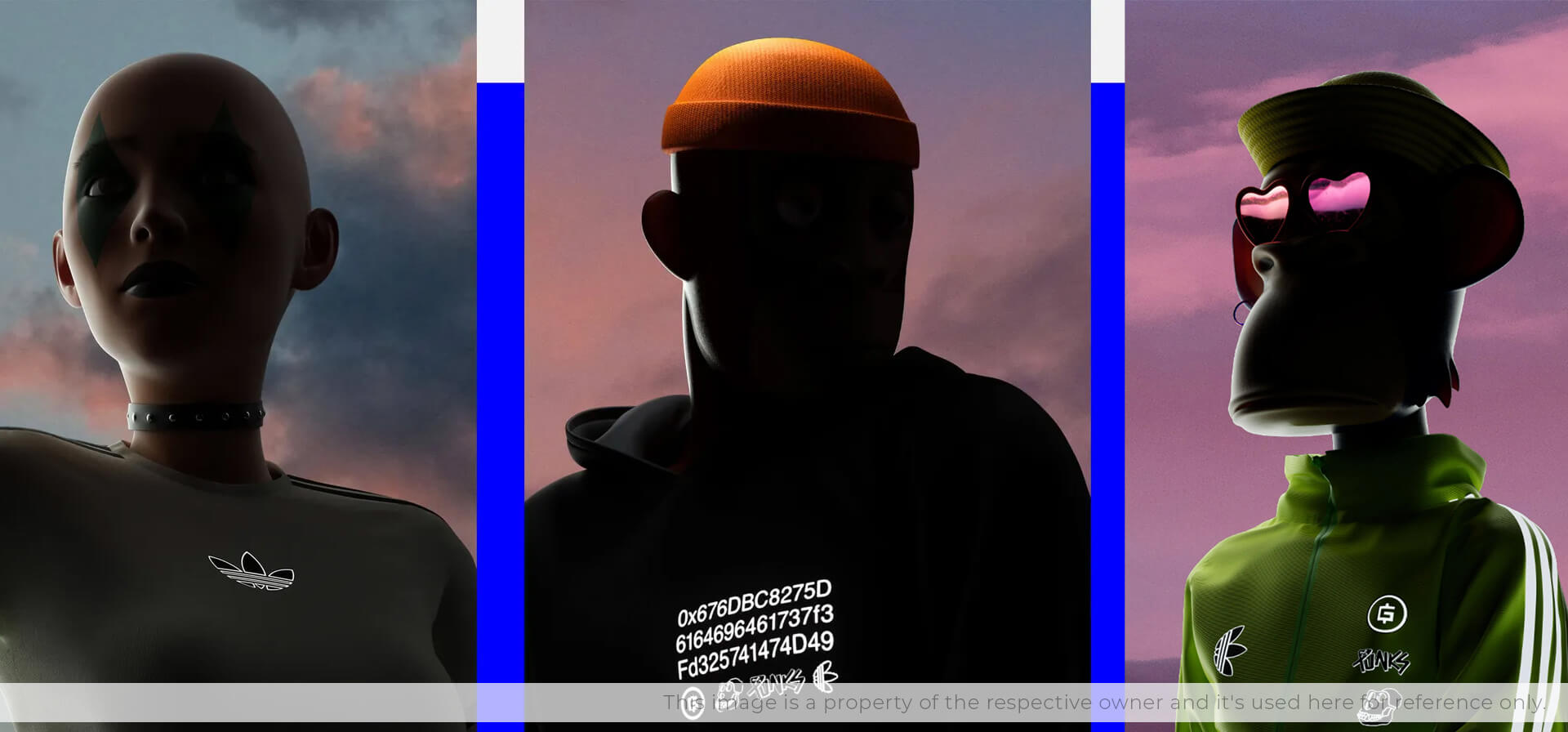 Directus Image