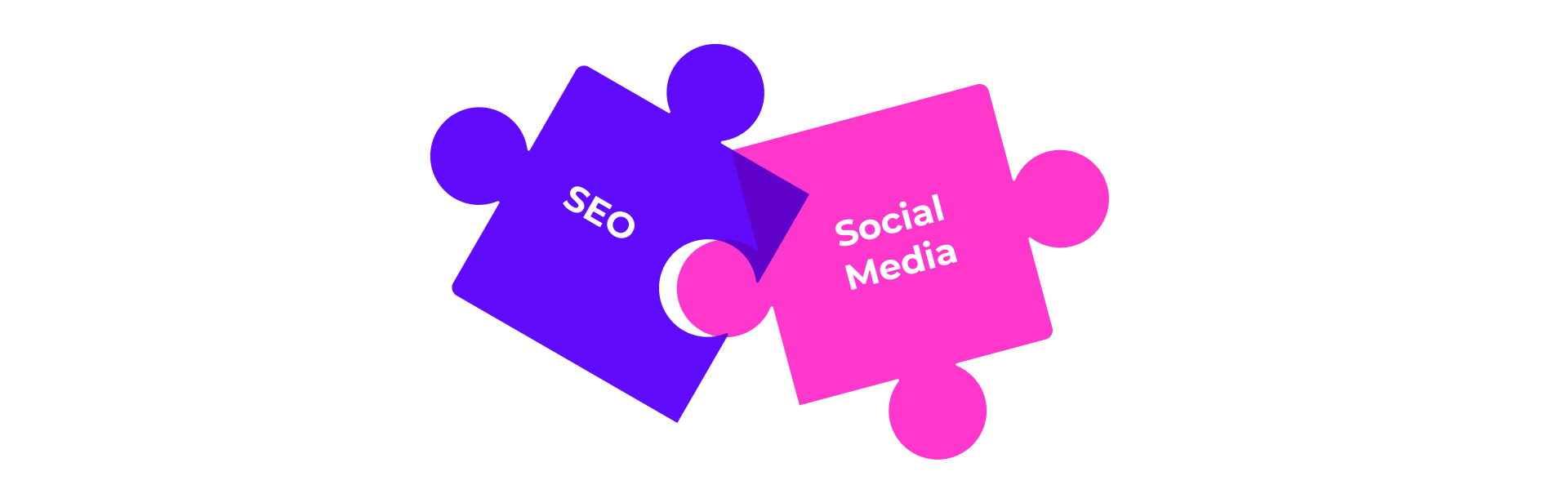 How to Start SEO For a Website Naturality Digital 5 Directus Image